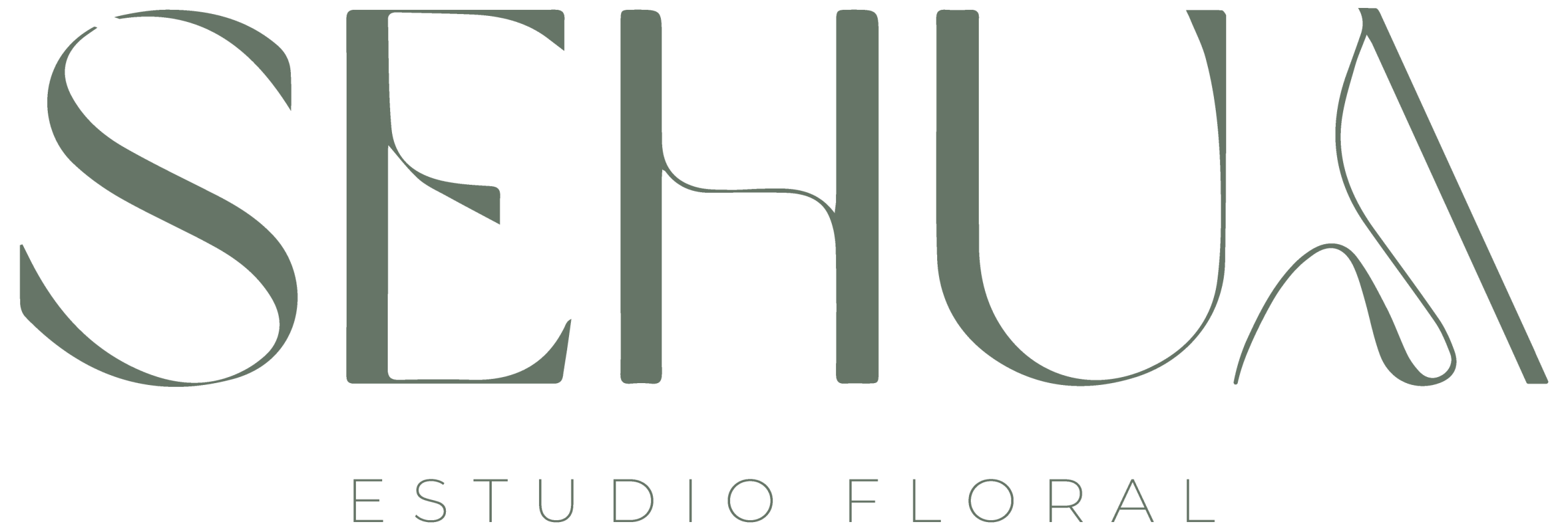 Floreria, florería, cdmx, estudio, floral,